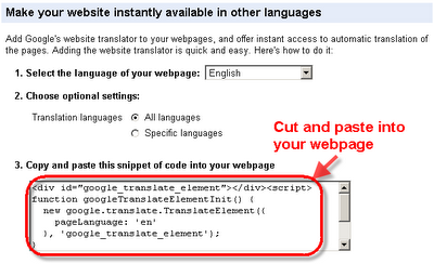 Image showing how to copy code from Google Translate for use on your site.